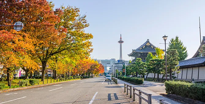 히가시 혼간지의 보은강과 은행나무 가로수