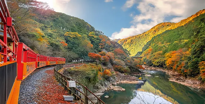 사가노 로맨틱 열차의 단풍 순회