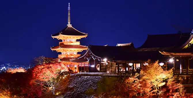 寺社仏閣의 가을 야간 특별 배관 · 단풍 라이트 업