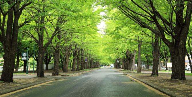 Hokkaido University